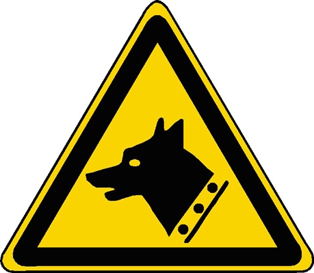 Panneau Prenez garde au chien par Klassen, 8 po x 12 po, plastique,  noir/jaune